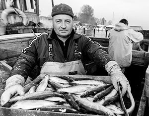 Британские рыбаки больше не друзья своим европейским коллегам