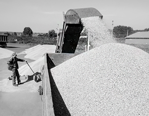 Зерно – ключевой на сегодняшний день экспортный товар Украины 