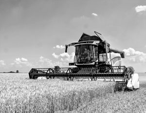 В освобожденных районах Запорожья ожидается богатый урожай пшеницы