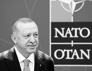 В Северной Европе турецкий президент давно уже стал «анфан терриблем»