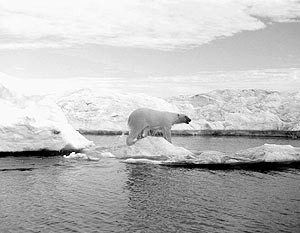 В Арктике нагнетаются взаимные интересы не только в сфере экономики