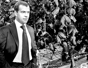Медведев поднимает село 