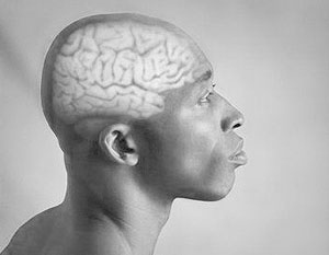 Ученые выяснили, от чего зависит ум человека