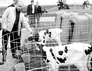 Владимир Путин провел совещание, посвященное проблемам сельского хозяйства