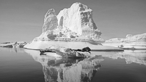 Какие цели могут преследовать США в Арктике