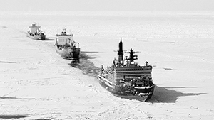 МИД допустил выход России из Арктического совета