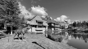 Назначенная на 15 августа встреча президентов России и США Владимира Путина и Дональда Трампа может состояться в гостинице Alyeska Resort в курортном городке Гирдвуд