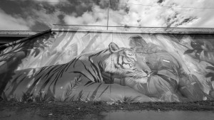 Во Владивостоке на улице Басаргина появился мурал, посвященный защите дикой природы. Изображение питерского художника Филиппа Дульмаченко создано при поддержке центра «Амурский тигр»
