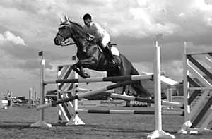 В конно-спортивном клубе «Альфарес» состоялись традиционные соревнования по конкуру 