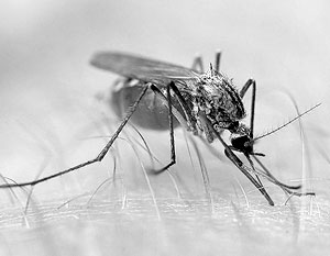 Американцы будут убивать комаров лазером