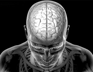 Ученые научились «стирать» память с помощью лекарств
