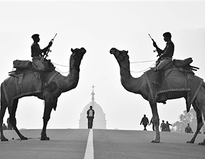 Индии и Пакистану ради мира в регионе следует проявить по-истине верблюжье спокойстве
