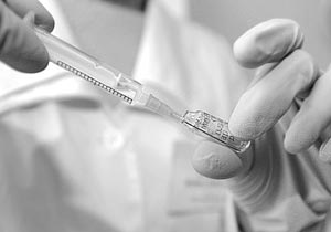 Сегодня в России начинаются испытания вакцины от птичьего гриппа для людей