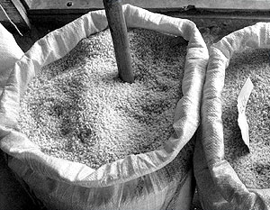 В уголовном деле фигурируют некачественный рис и 23 млн ущерба государству