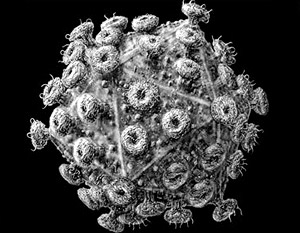 Размер вируса СПИДа – около 120 нанометров
