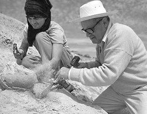 Три древние бусины были найдены в пещере Схул на горе Кармель в Израиле