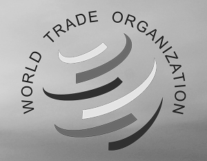 США: Для вступления в ВТО РФ должна усилить борьбу с пиратством
