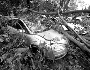 Десятки машин повреждены упавшими деревьями