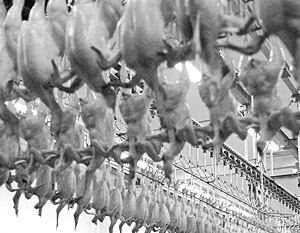США обвинили РФ в необоснованной задержке возобновления экспорта курятины