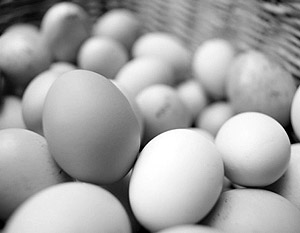 Поставщики в США отзывают 550 млн куриных яиц, которые могут быть заражены бактерией сальмонелла
