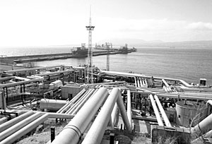 Конечной точкой нефтепровода ВСТО станет бухта Козьмино 