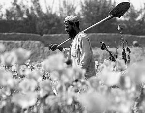 Выращивающие опиум афганские селяне рискуют вновь познакомиться с вооруженными россиянами
