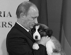 Россиянам предложено придумать кличку для щенка Путина
