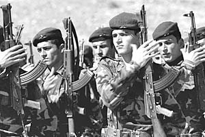 Курдистан обзавелся армией  