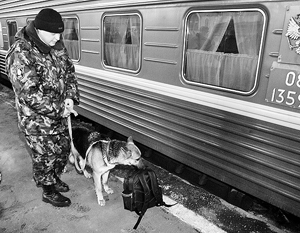 Нургалиев поручил кинологам ежедневно патрулировать аэропорты и вокзалы