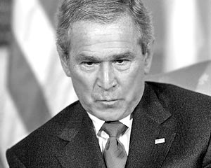 В прошлом году призом за самую тупую фразу наградили президента США Джорджа Буша