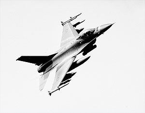 Российские ВВС подняли в небо самолеты НАТО 