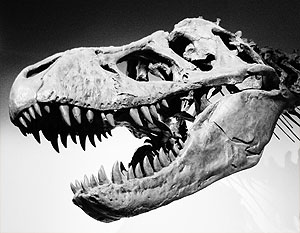 Ученые: Динозавры вымерли из-за отставания в сексуальной эволюции