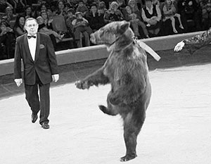 На гастролях в Турции погибли девять медведей российского дрессировщика