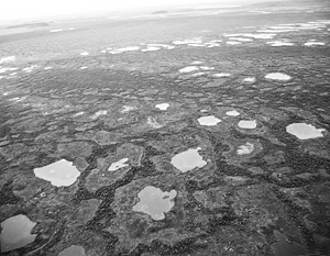 Ученые: Васюганские болота согревают Сибирь