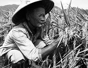 Вьетнамцев зовут поднимать сельское хозяйство на Дальнем Востоке