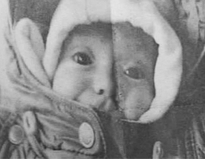 К поиску младенца в Брянске подключились опытнейшие следователи