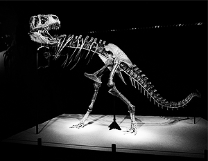 Слово «динозавр» может смутить тех, кто не верит в теорию эволюции