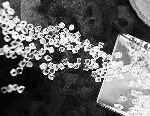 Жительница Красноярска нашла в лифте 500 бриллиантов