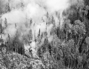 Парашютисты-десантники погибли во время тушения лесного пожара