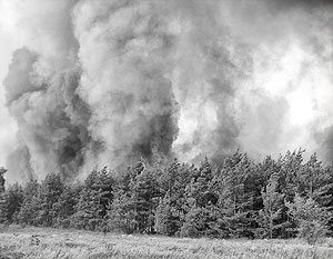 Амурских пожарных заподозрили в поджогах леса ради премий