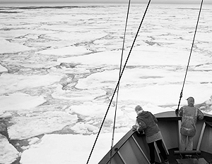 США: Площадь морского льда в Антарктике достигла рекорда