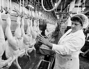 Россия получила право поставлять мясо птицы в ЕС