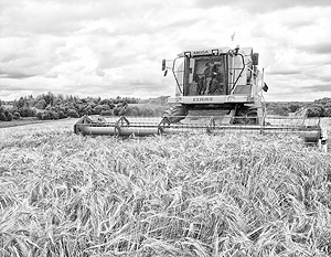Украина решила конкурировать с Россией в производстве зерна