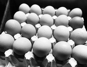 Минсельхоз объяснил дефицит яиц закредитованностью птицефабрик