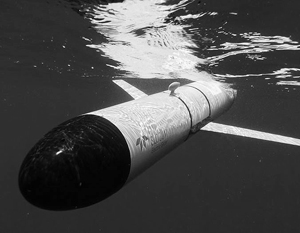 СМИ: Подводные беспилотники поступят на вооружение ВМС США