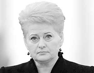 Президент Литвы попросила денег на новую избирательную кампанию у сограждан