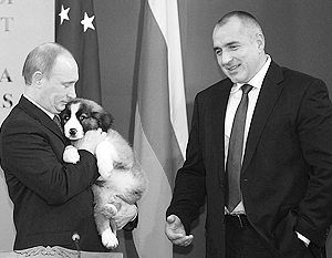 Некогда Бойко Борисов подарил Владимиру Путина щенка болгарской овчарки. Подарок был оценен по достоинству, но рабочие отношения у политиков не сложились