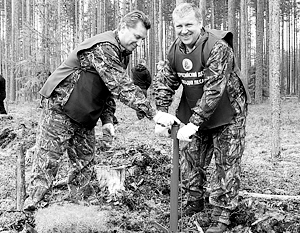 Александр Худилайнен демонстративно сажает лес, вместо того чтобы бороться с его незаконными вырубками