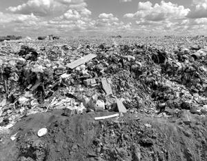Только 4% мусора в России перерабатывается, еще 2% сжигается, остальные 94% гниют на полигонах и свалках