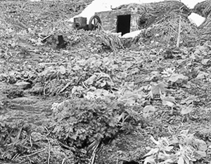 На курильском острове Матуа остались еще японские укрепления